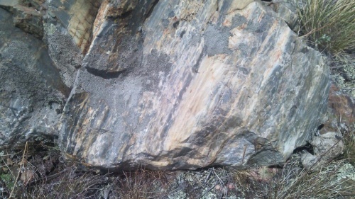 Гигантские зелёные валуны для ландшафтного дизайна весом более 5 тонн купить в Республике Мордовия